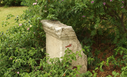 Roman Column in Aidipsos