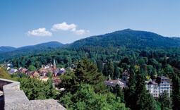 Black Forest near Badenweiler