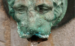 Lion figure at a fountain in Dax